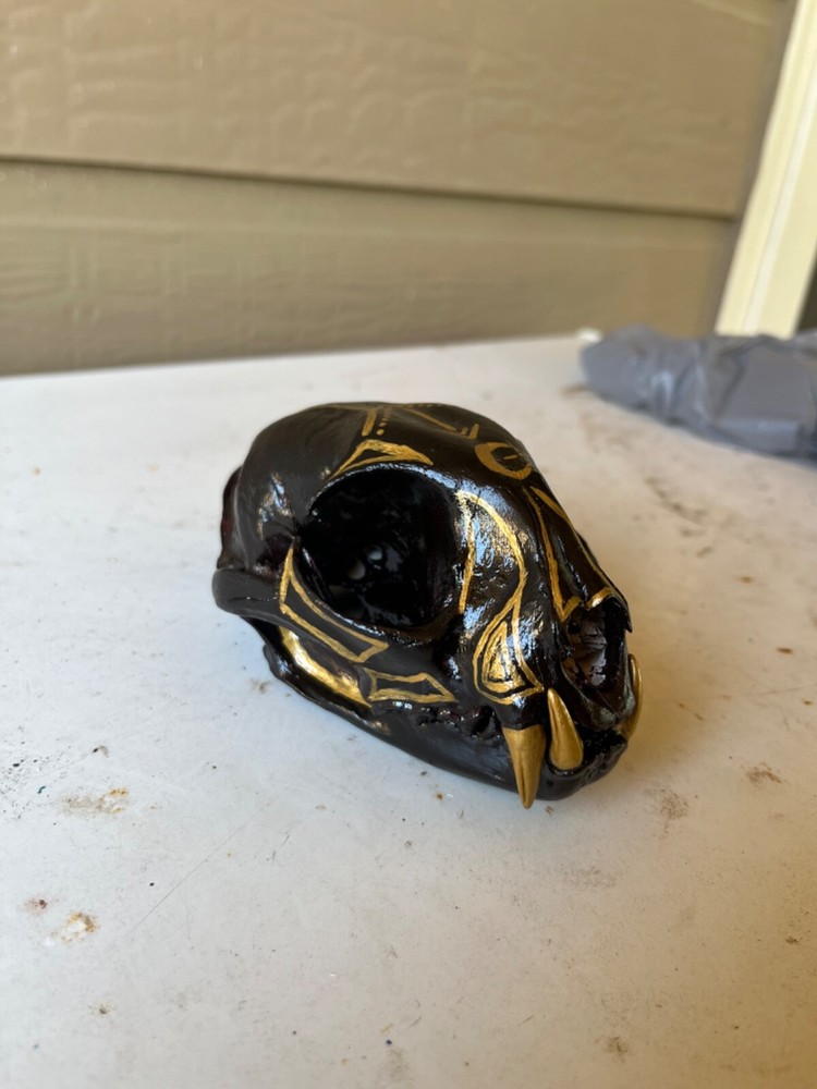 Painted Bobcat Skull please read description