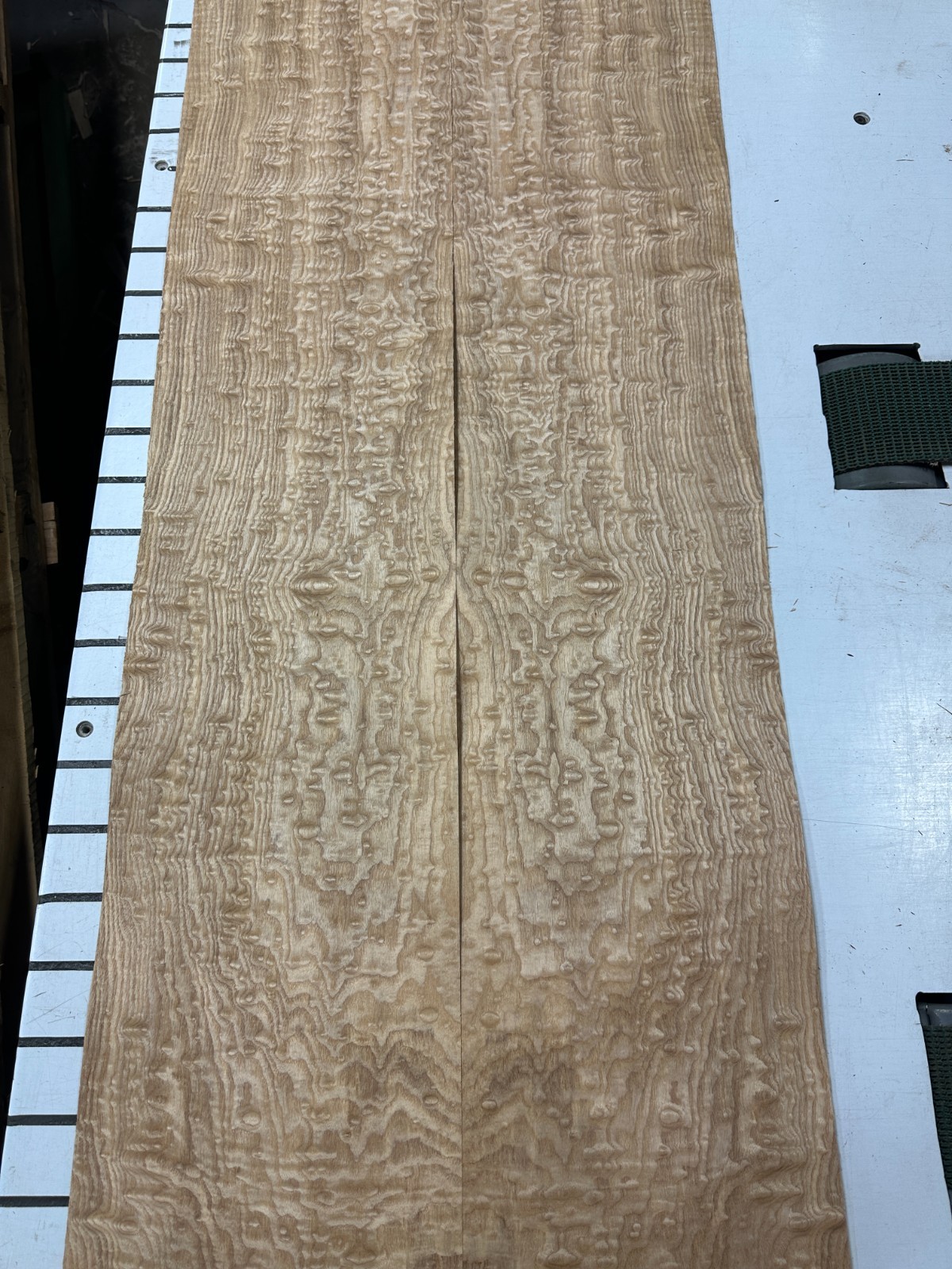 Tamo Ash Raw Wood Veneer 2 sheets 50'' x 10'' 319U