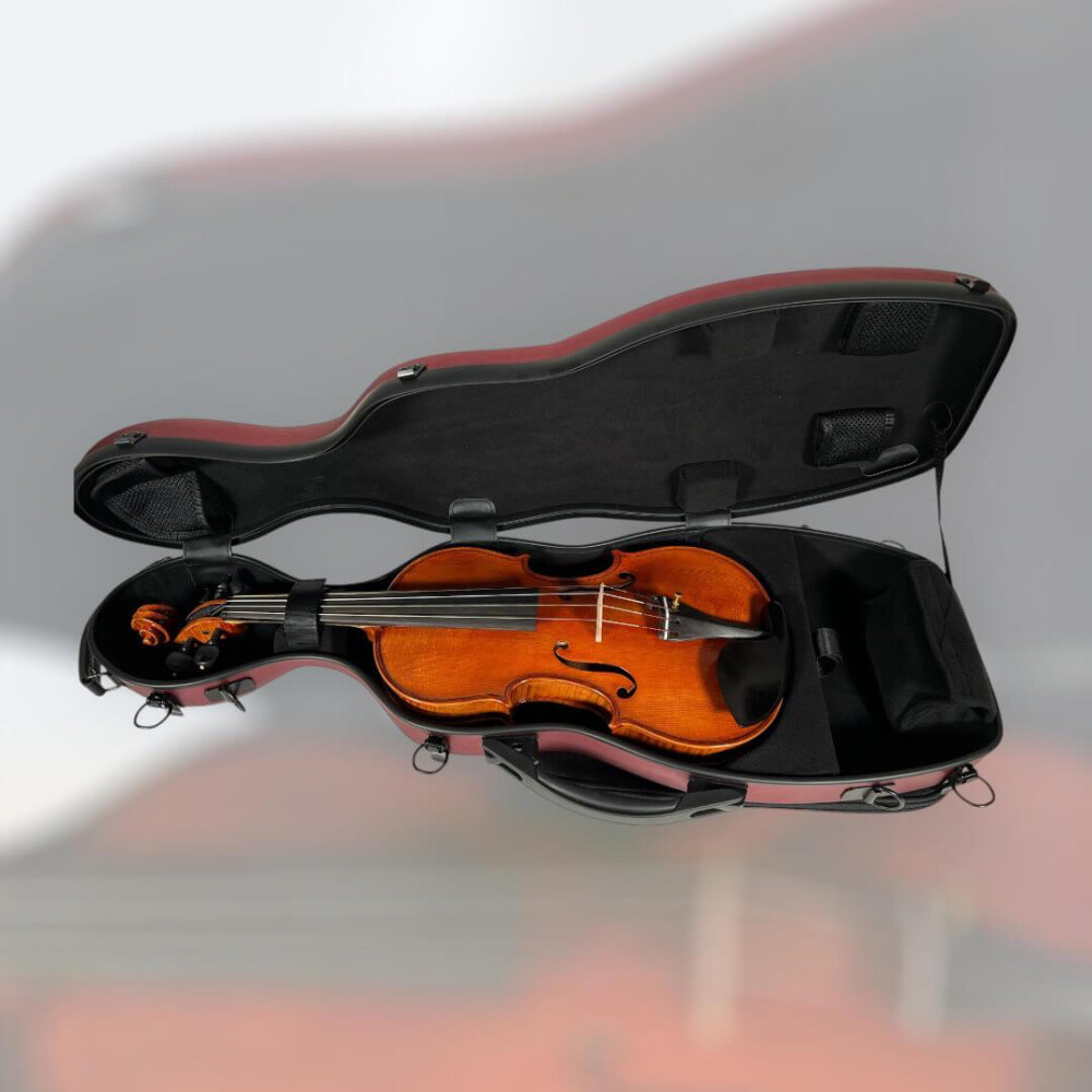Petz CSV10 Case (Case) for 4/4 Violin (Violin), Red