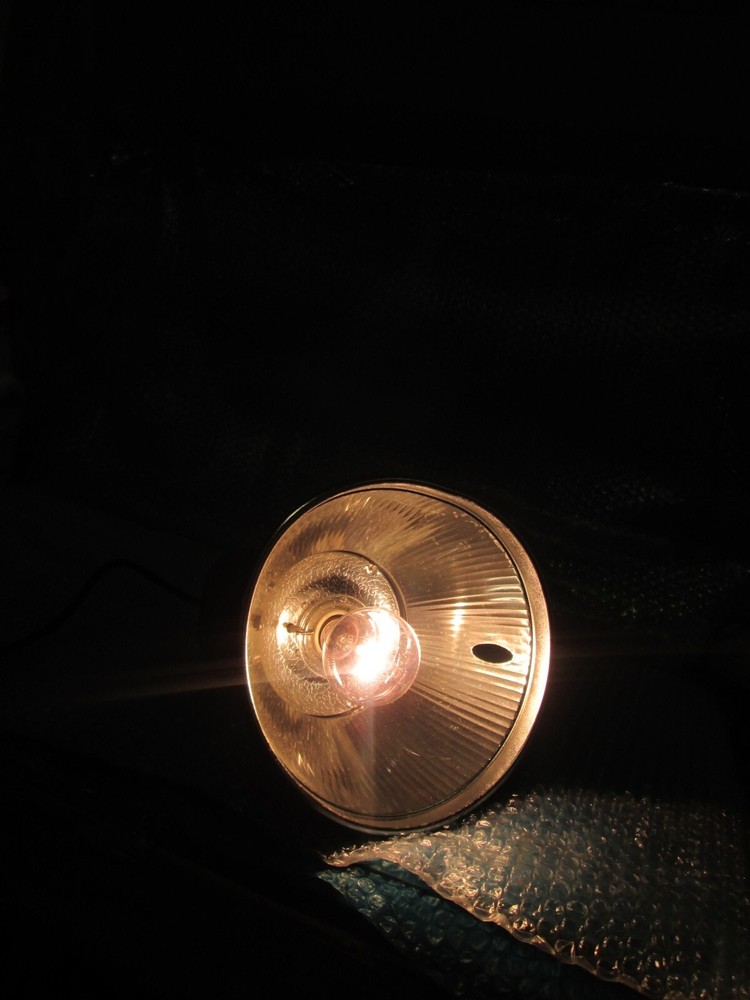 Interfit EXD200 Digital Flash Head (110V)