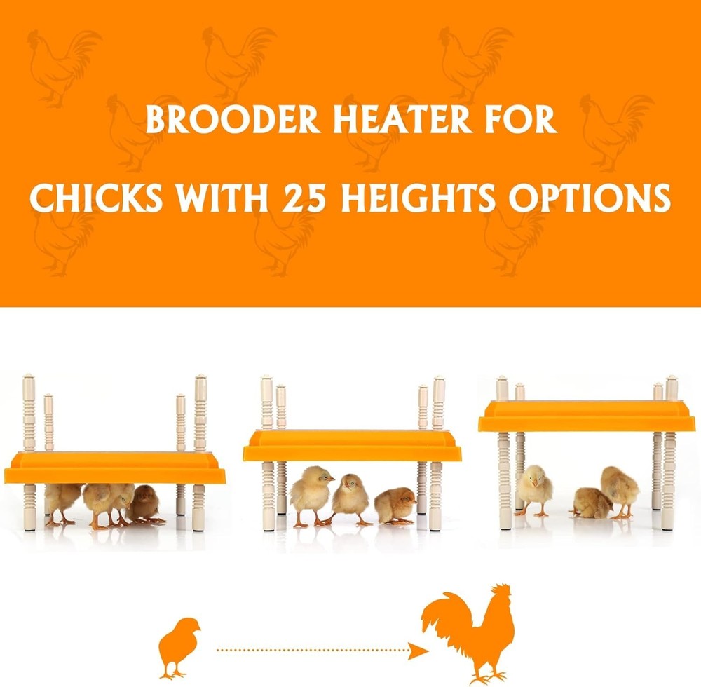 Durable Brooder Heater for Chicks - Height Adjustable & Effortlessly Clean 10x10