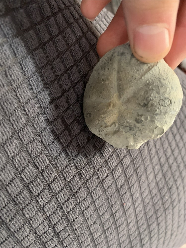 Rock