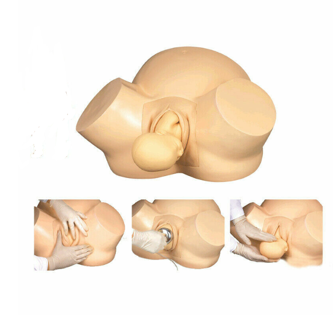 Midwifery Training Simulator,Advanced Vacuum Delivery Simulator