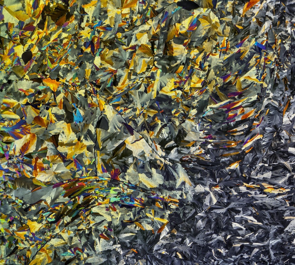 Microscope slide for polarization, GLUTARIC ACID (melt)