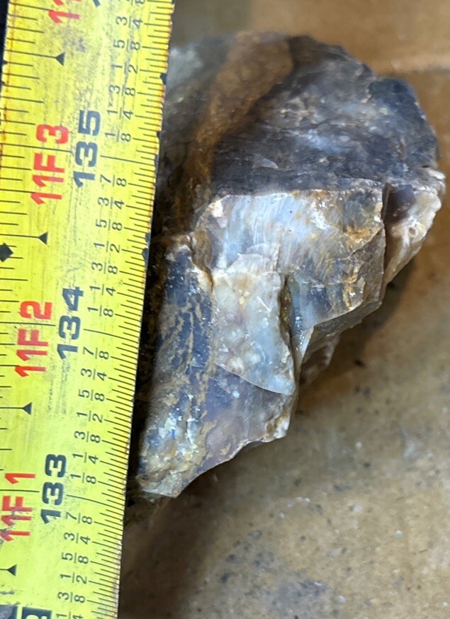 Silver Creek Junction petrified wood