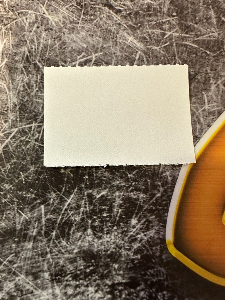 1992 California State Duck Stamp,