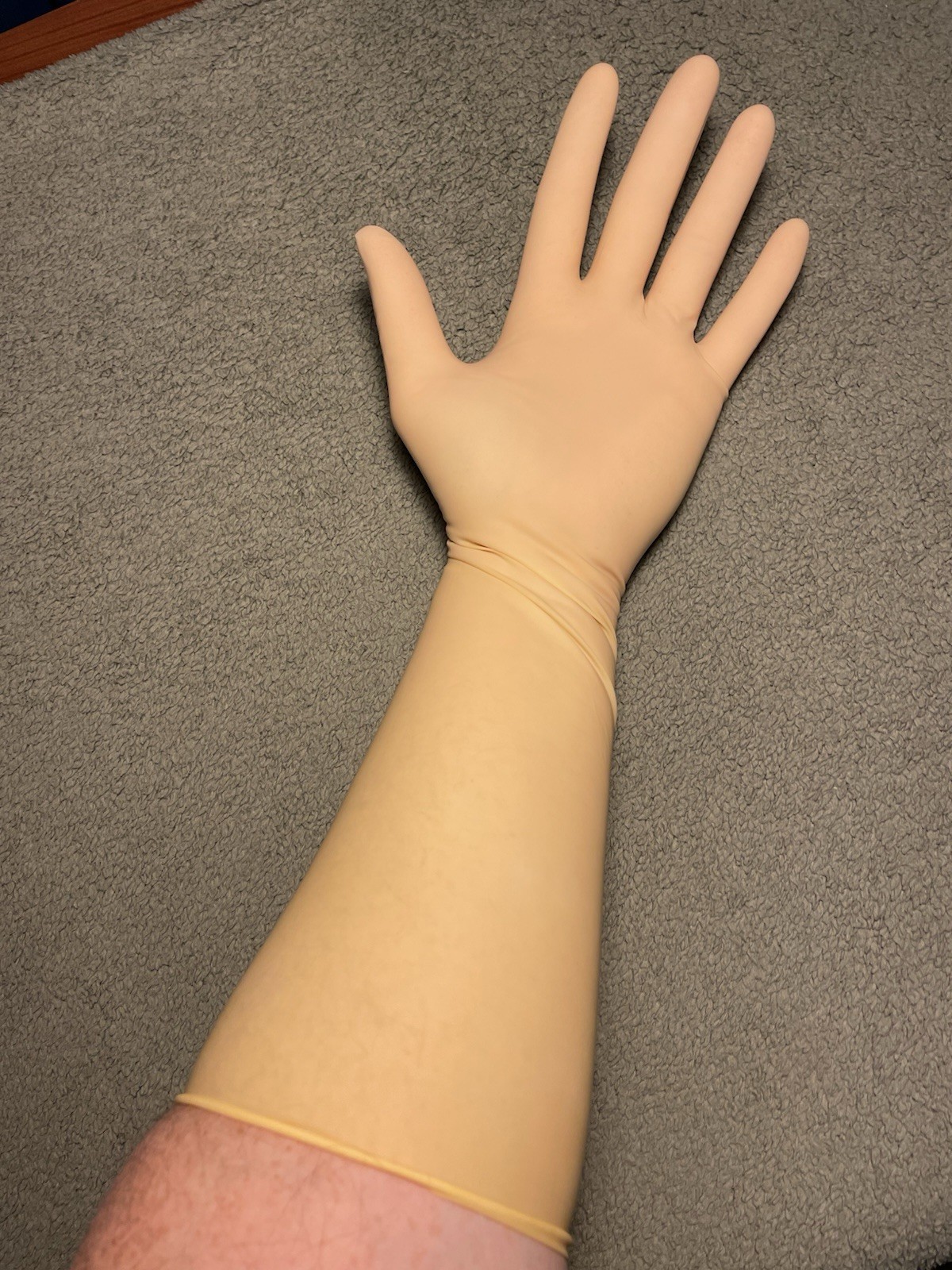 16” Elbow Length Latex Cleanroom Gloves, Size Medium, 7.5, 1 Pack, 10CT