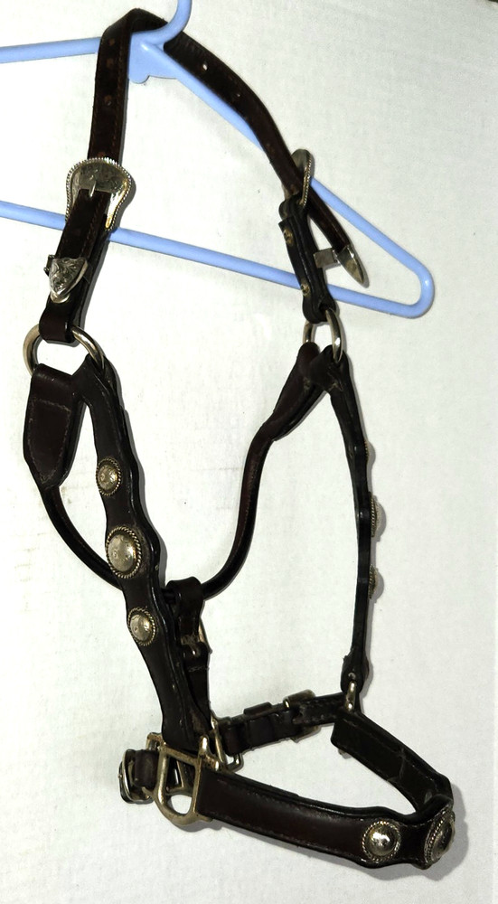 Brown Leather Silver Show Halter Yearling Size