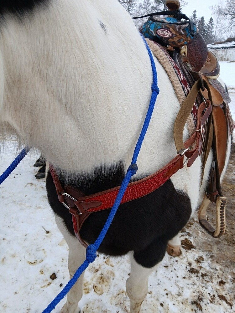 Custom Bedazzled Breast Collar!❤️