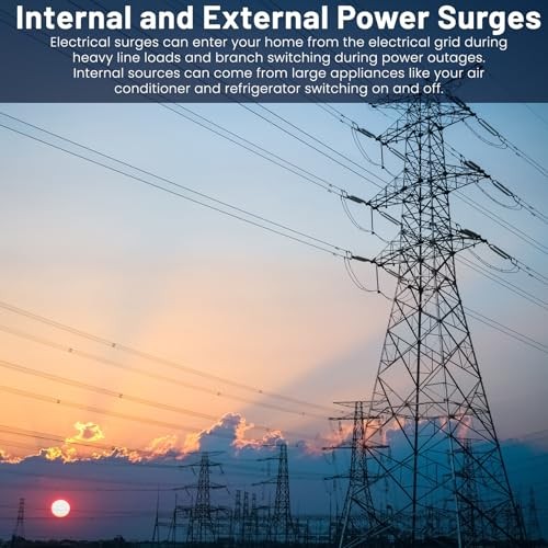 Type BR Whole-Panel Circuit Breaker Surge Protective Device (Pack) () 1