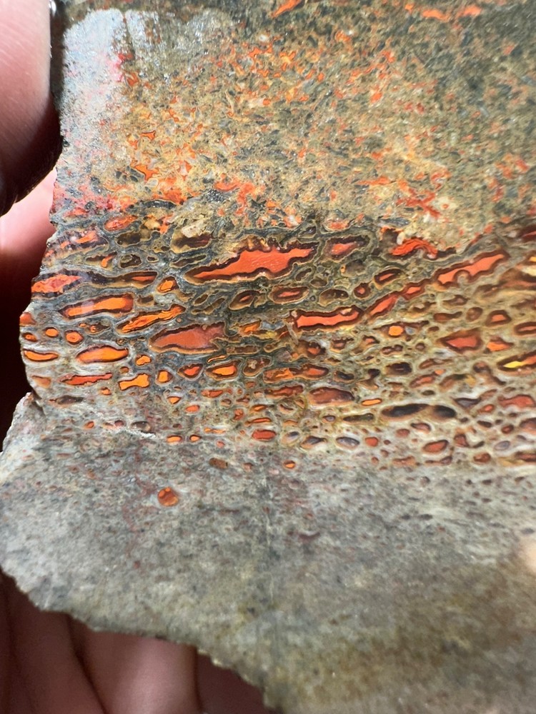 Dinosaur bone rough chunk. (344.7 grams)