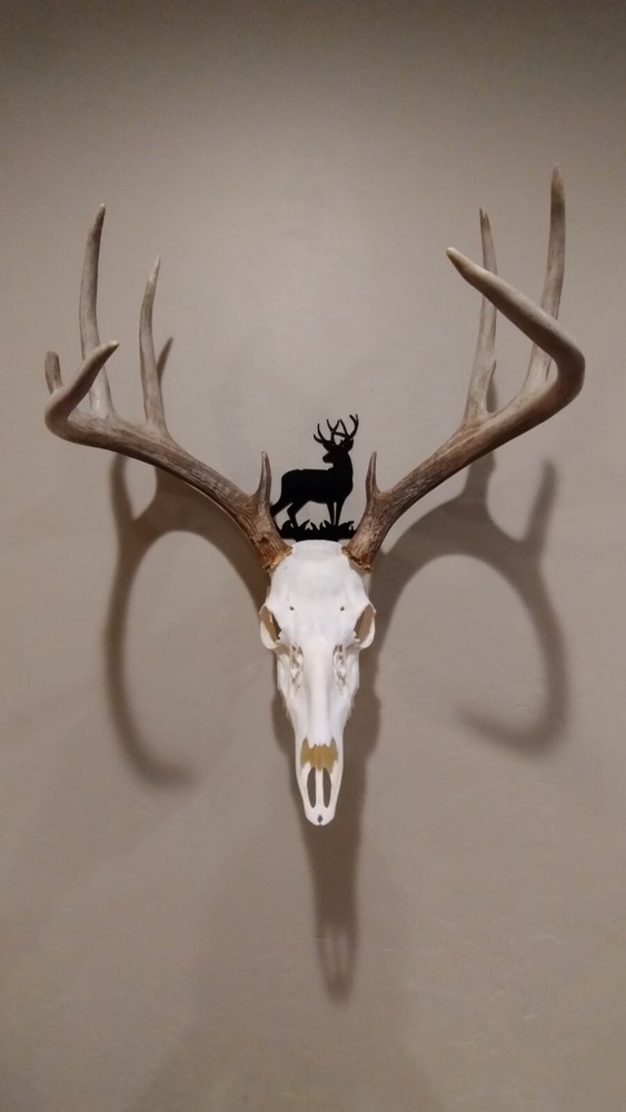 Mule Skull Hanger 1 Black
