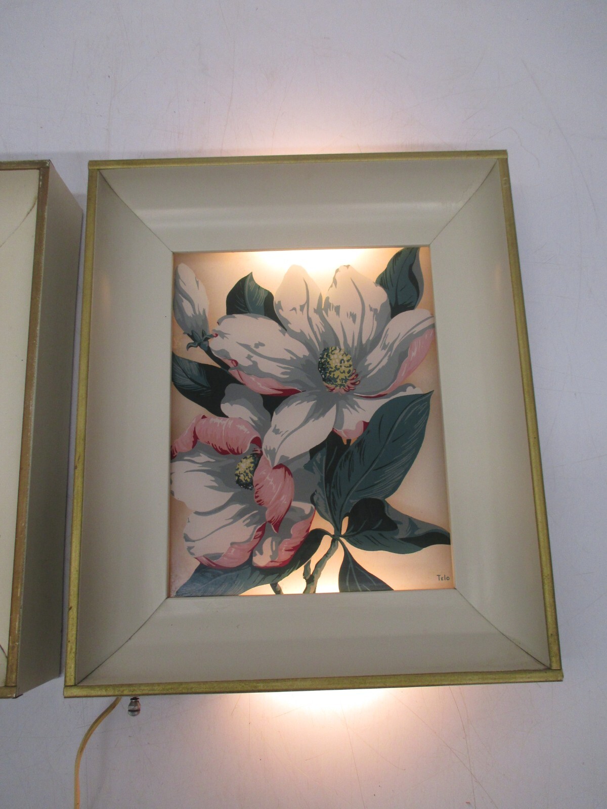 2 Vtg Reverse Painted Glass Floral George Telo Shadow Light Box Lighted Wall Art