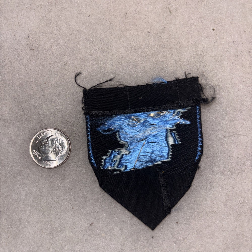 Royal Norwegian Air Force 80th Flying Training Wing instructor pilot patch