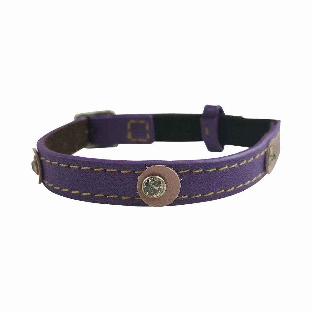 Moet Purple Cat Collar