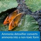Pond Care Ammo Lock Instant Ammonia Neutralizer & Detoxifier 64oz treats 7680gal