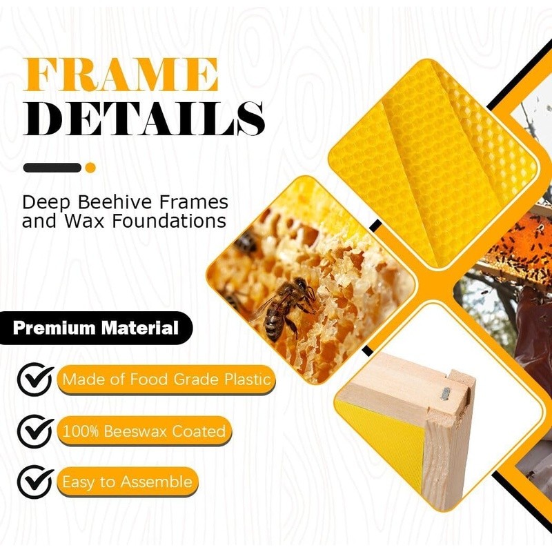 10 Pack Deep Hive Frames Wax Foundations Langstroth Beehive Easy Assembly New