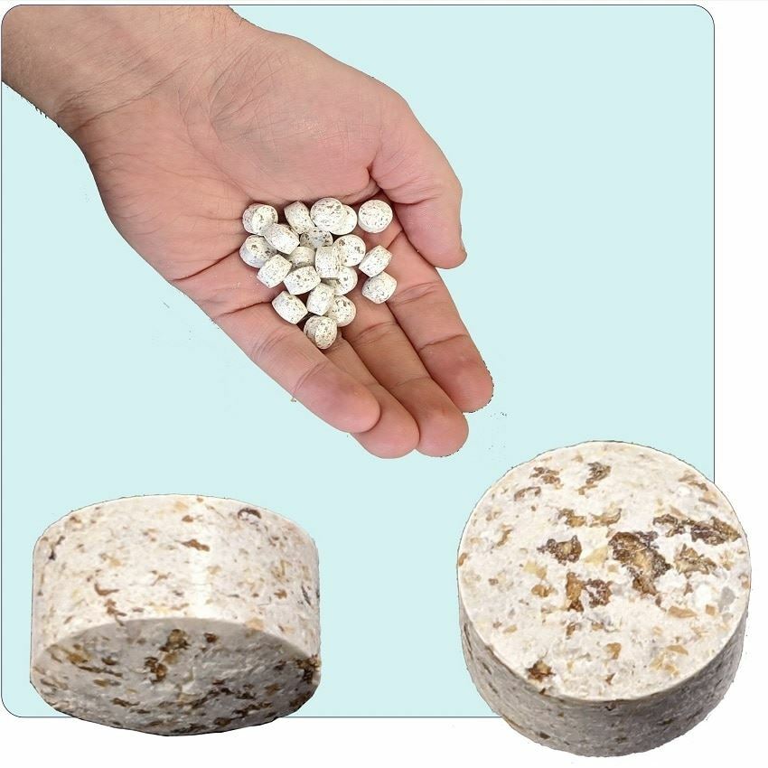 Shore-Tech Industries Lake Muck Reducer Tablets - Advanced Lake & Pond Probiotic