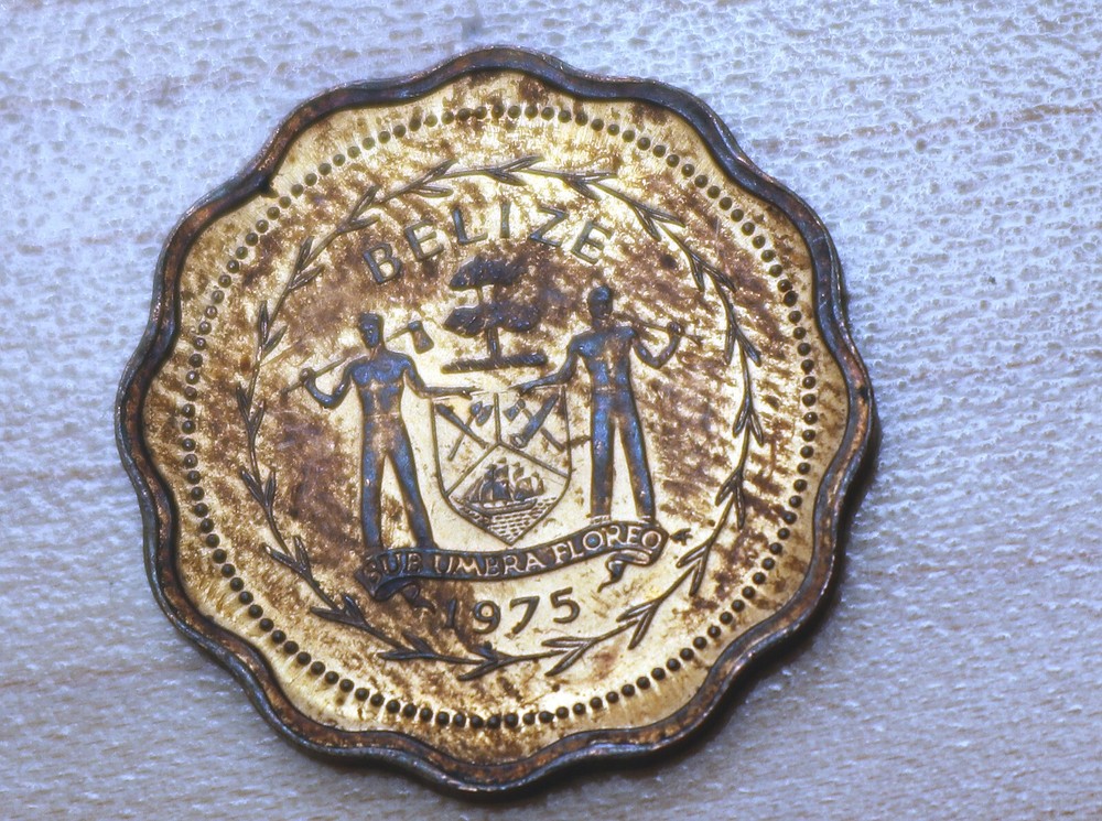 1975 Belize 1 Cent Swallow-tailed kite Bronze