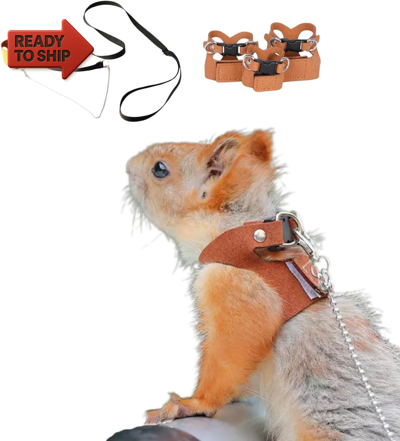 3 Pack Squirrel Harness and Leash Set - Adjustable Soft Leather & Traction Rope