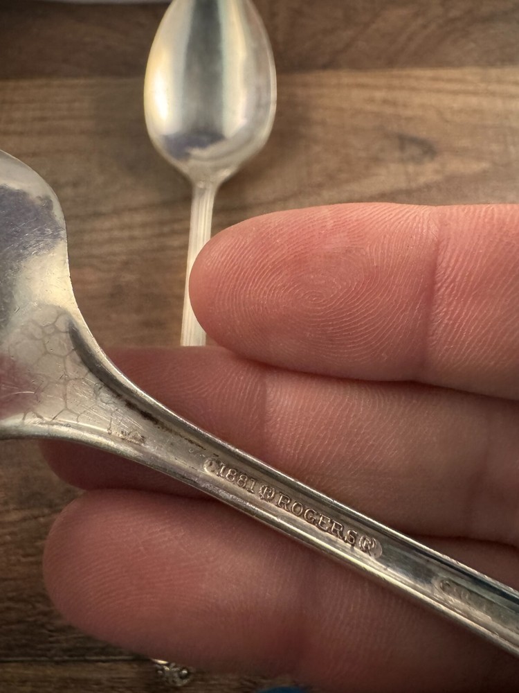 2 Piece Lot Set 1881 Rogers Enchantment Pattern Tablespoons