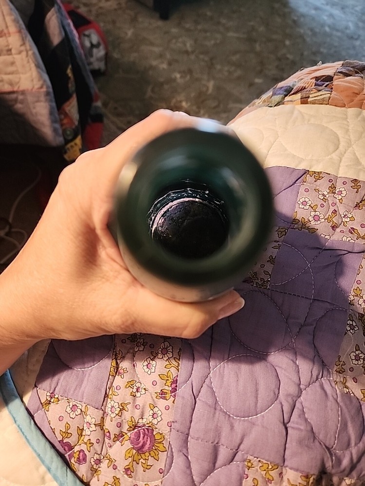 Vintage Blue Bottle Fish Design Laundry Sprinkler!