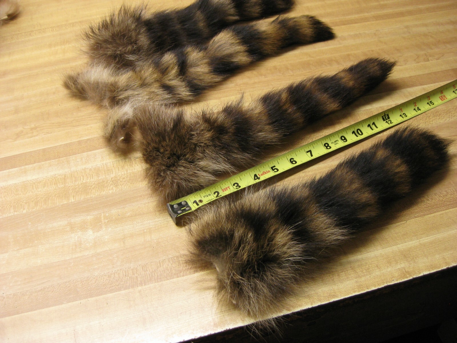 Large Tanned Jumbo Raccoon Tail Coon Fur Crafts 1 Tail Only