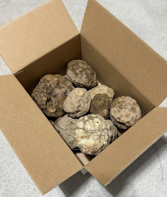 Box Of 10 Whole Natural Kentucky Geodes. FAST FREE SHIPPING! Read Description.