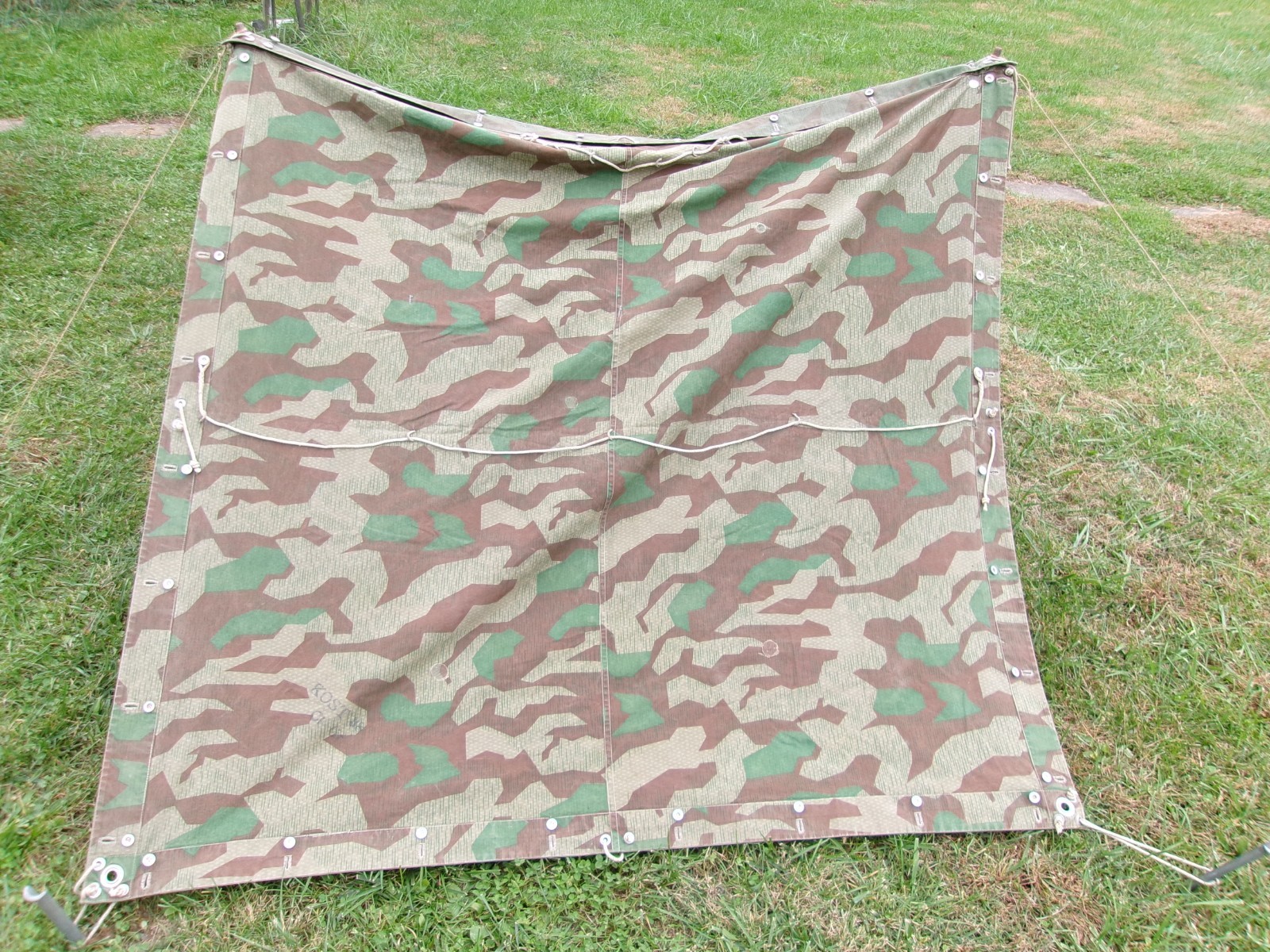 WW2 Swiss M31 Splittertarnmuster Tent - 2 Halves, Poles and Stakes