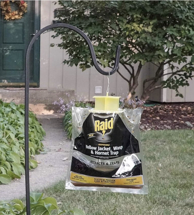 Raid 3 Pack Disposable Traps Yellow Jackets, Wasps and Hornets
