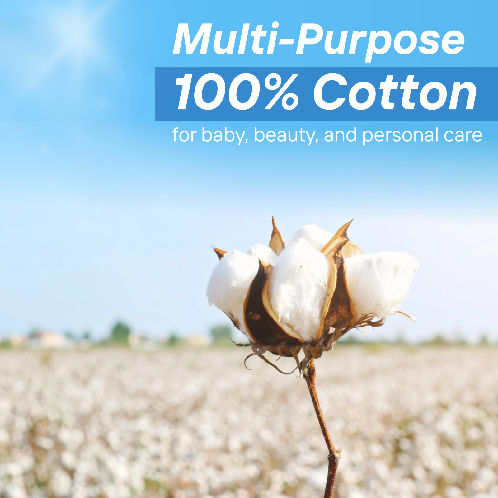 XtraCare Cotton Swabs, Double-Tipped, 300 Count – Soft & Flexible (3-Pack)