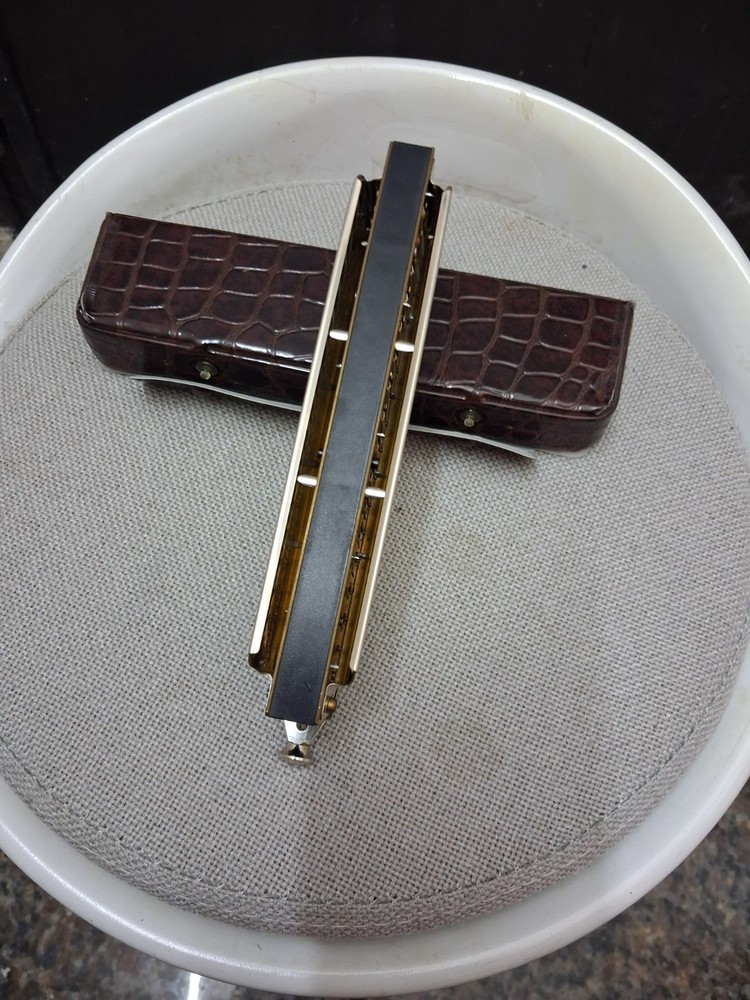 hohner professional mouth harmonica with case excellent condition