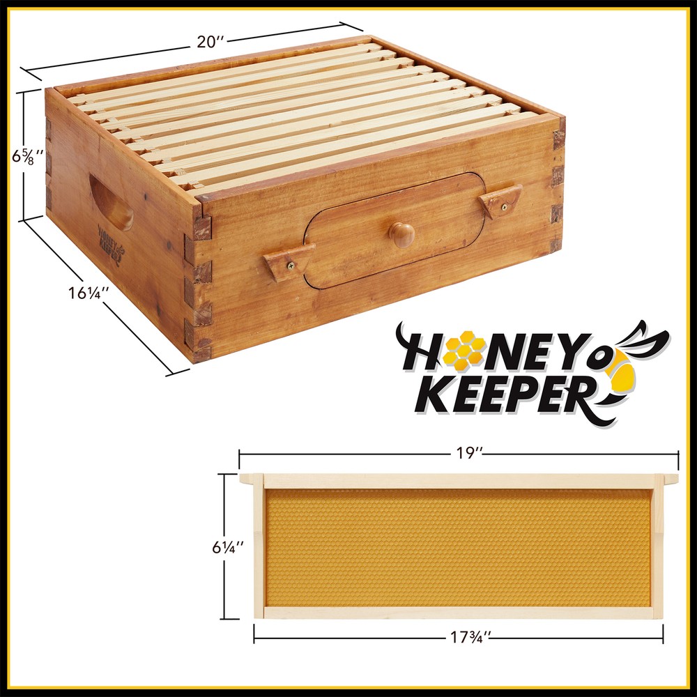 Medium Super Waxed Box with Window, 10 frames and 10 Yellow Foundations