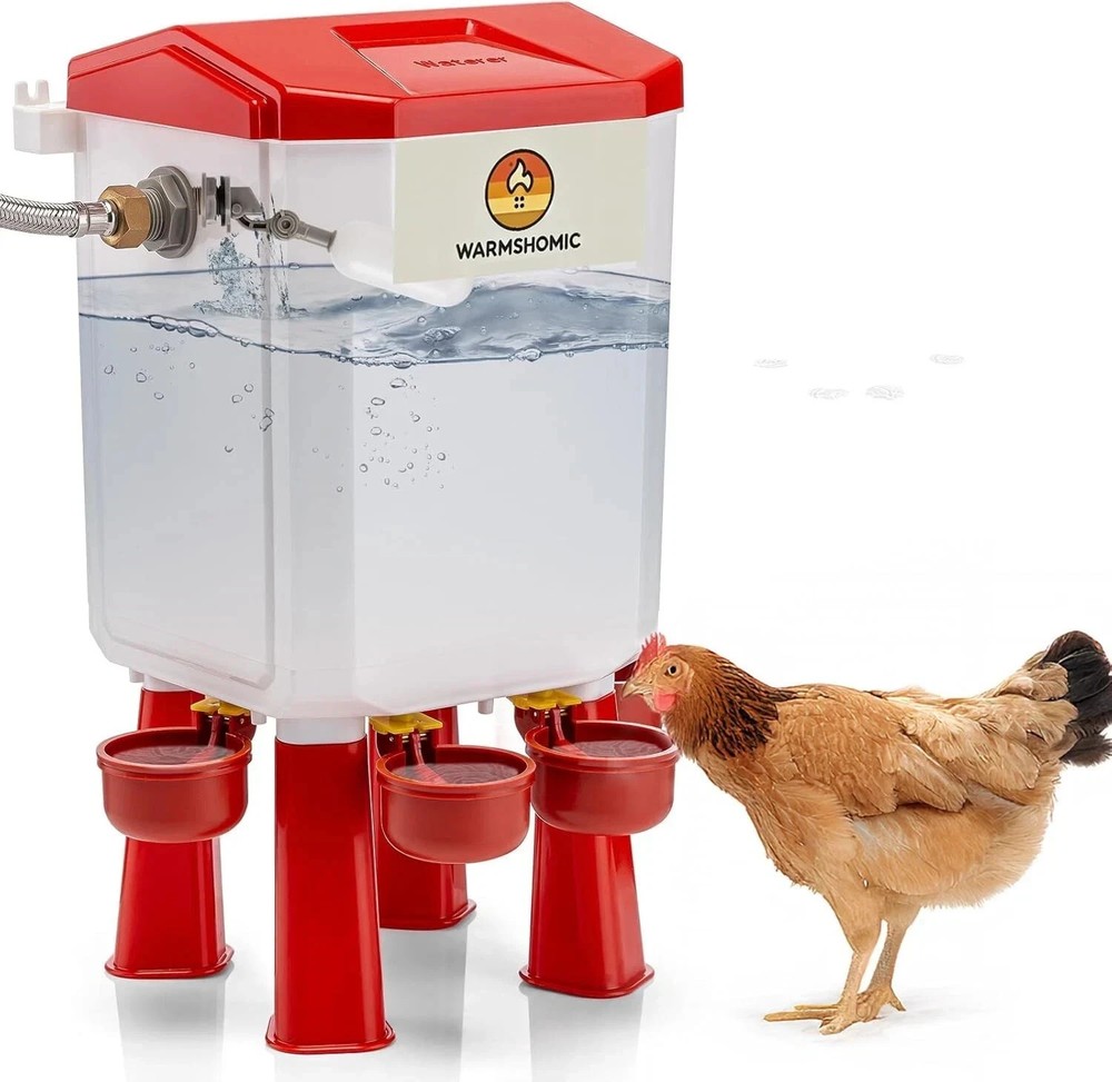 Automatic Chicken Waterer Large Chicken Waterer System Pou USA
