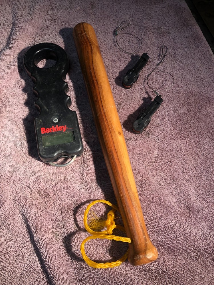 Digital Fish Scale Fish Kill Batton Bat Down Rigger Clips Berkley Scale Scotty