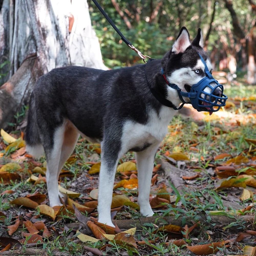 Large Soft Silicone Dog Muzzle Size 5 For Training Safe And Comfortable Use