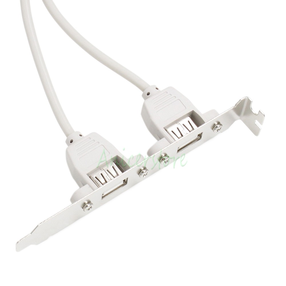 Dual USB 2.0 Port Back Panel Slot Bracket 10Pin Motherboard Header Data Cable