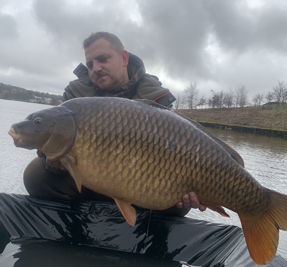 Ronnie Rigs / Spinner rigs x3 - Using Korda Components and a Nash Claw Hook