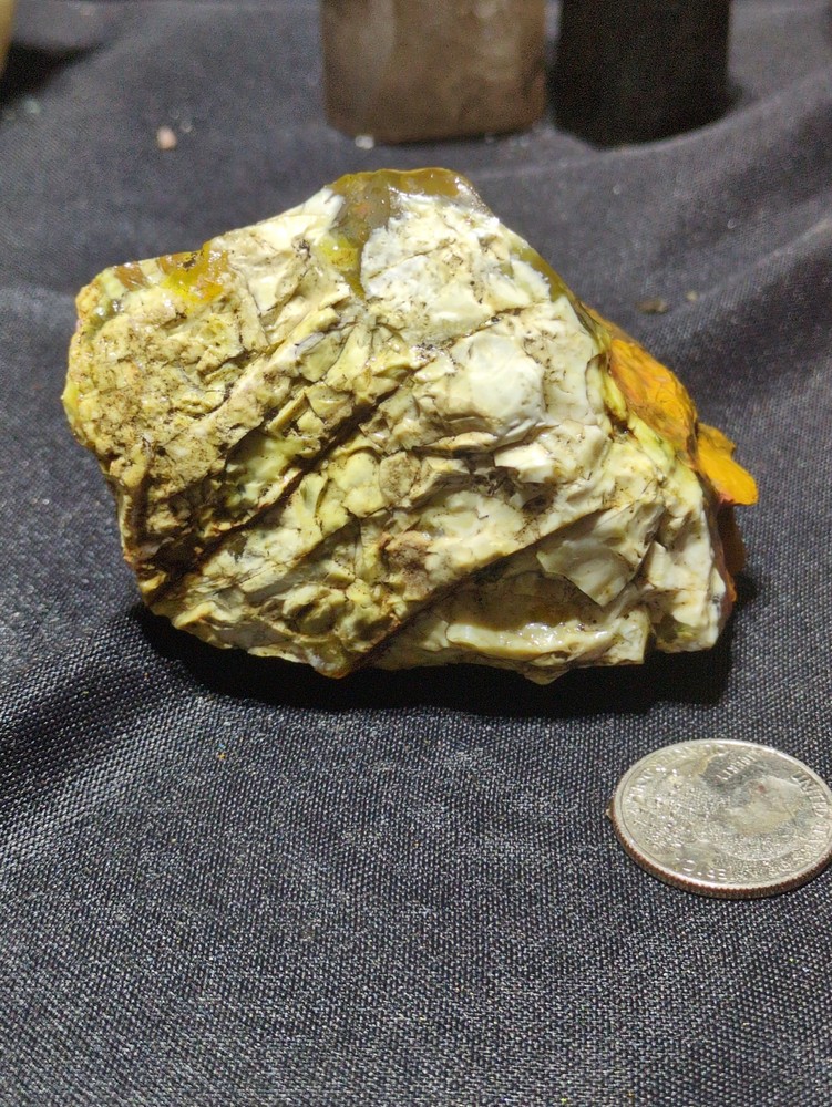 Opalized Wood Unique Banding Specimen Natural Form (10oz)
