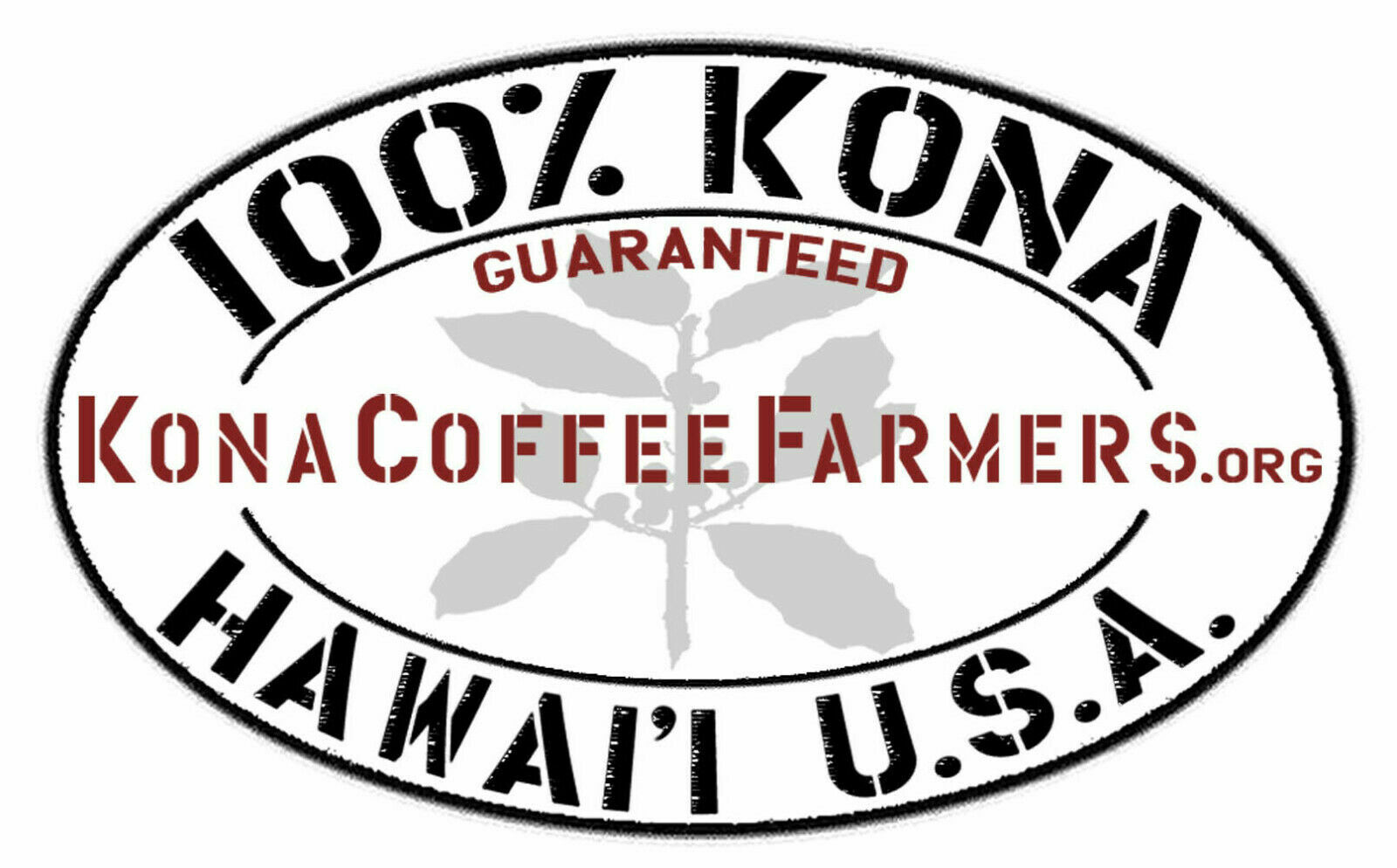 5 lbs of AUTHENTIC Kona Extra Fancy Coffee - Free Shipping!