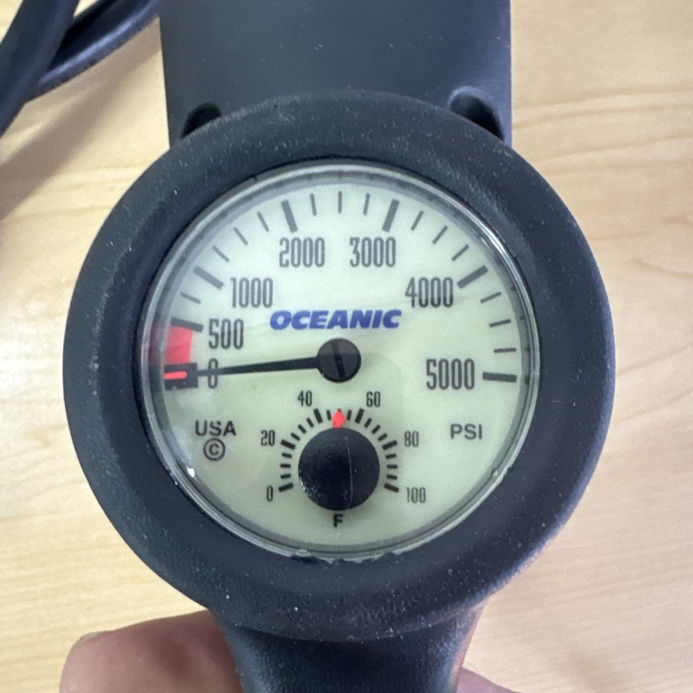 Oceanic 3-gauge console Untasted