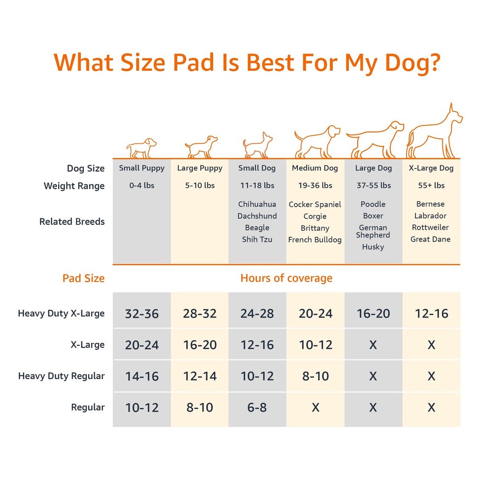 Amazon Basics Carbon Odor Control Dog and Puppy Pee Regular (80 Count), Gray