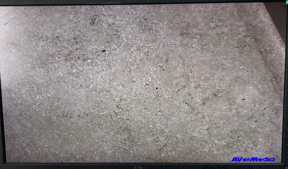 AVerVision F50HD Document Camera Flexible Arm tested working