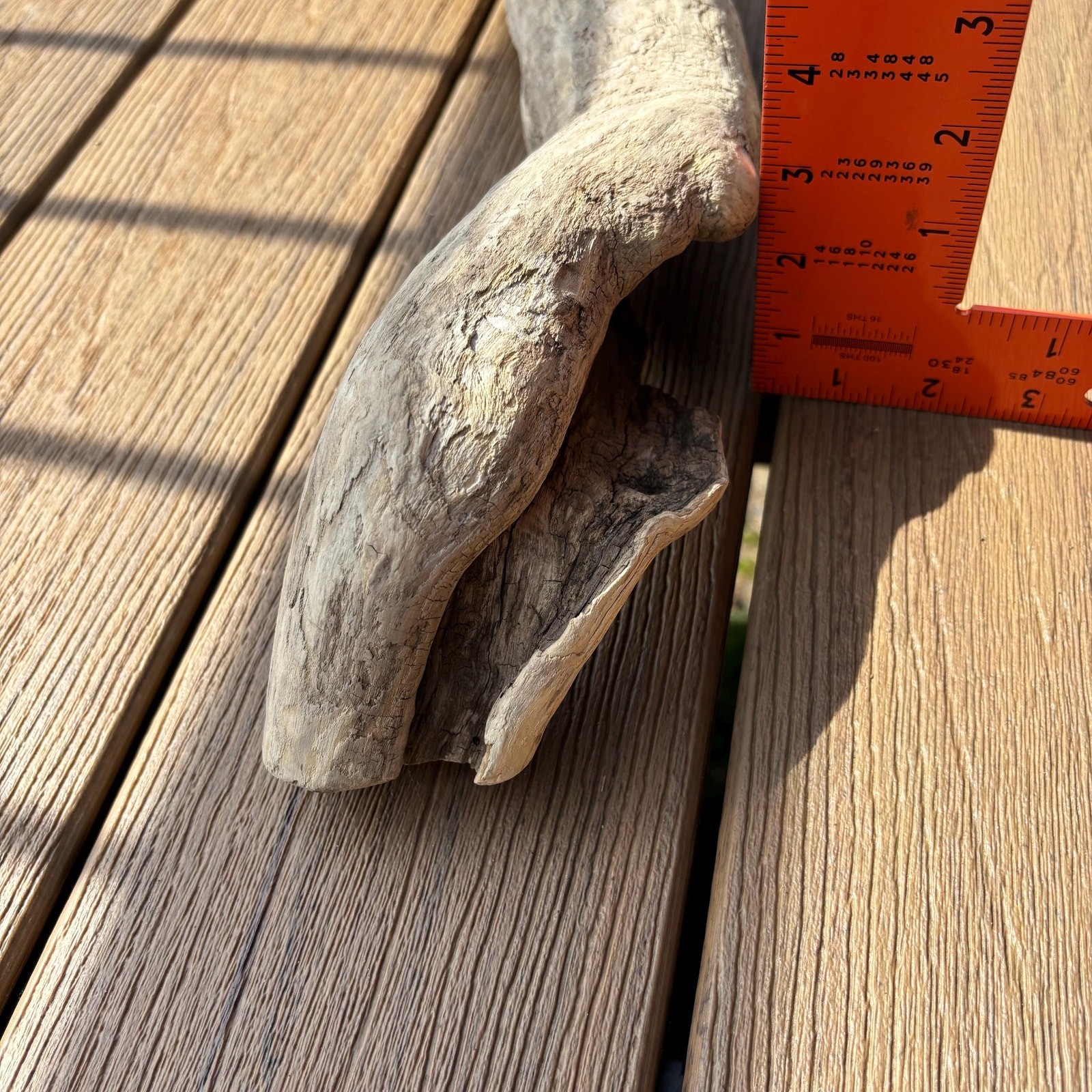 Lightweight Hollow Driftwood 22x4x8 – Sculptural Wood Natural Holes Aquarium