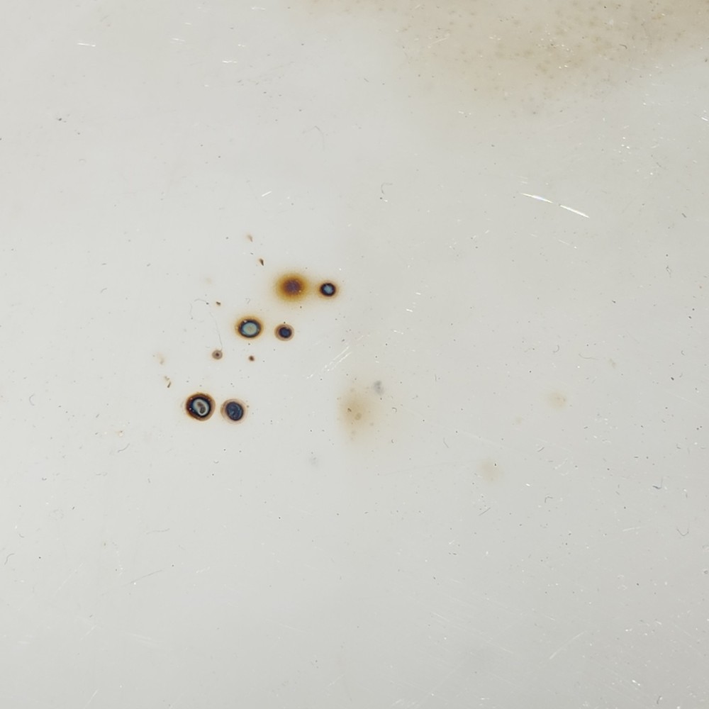 Vintagr Rogers Silverplate Creamer Sugar Serving Tray Home Decor