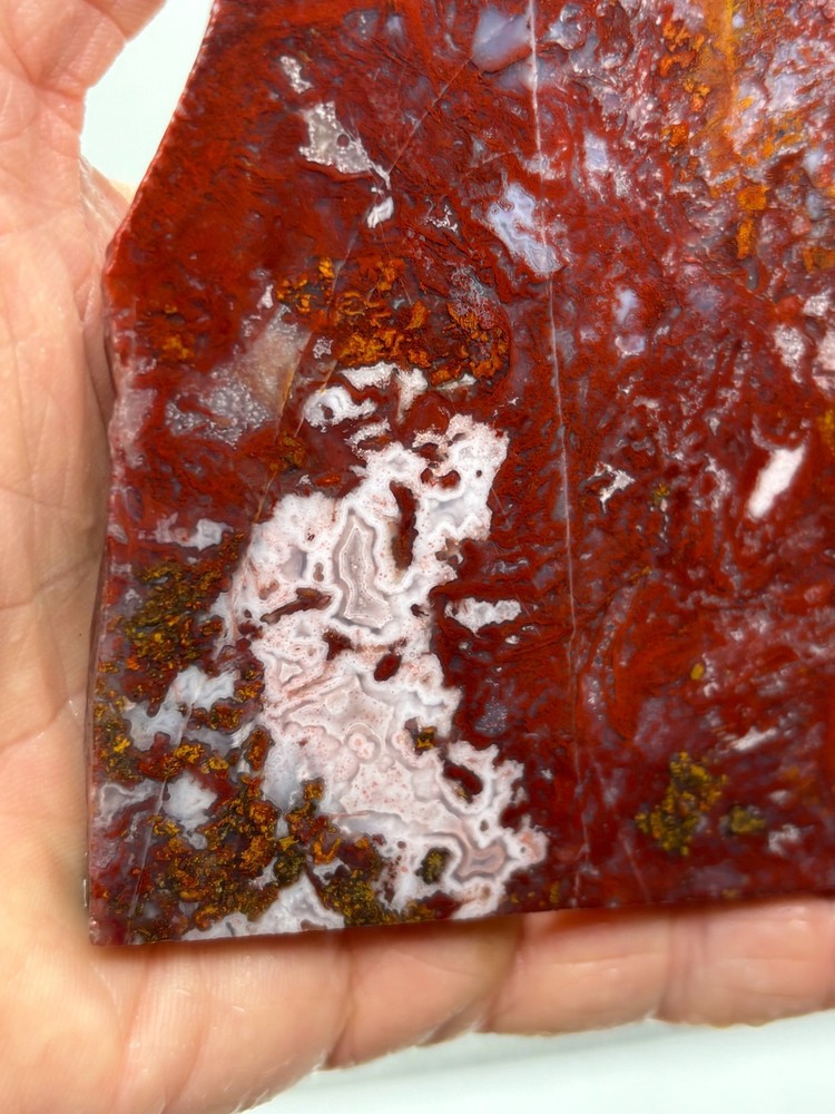 Mexican Red Moss Agate Slabs Lapidary Cabbing Combo Ship Avail