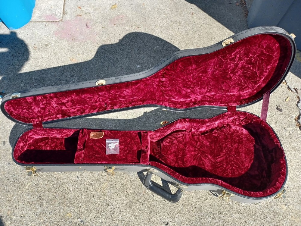 Gibson les Paul Case