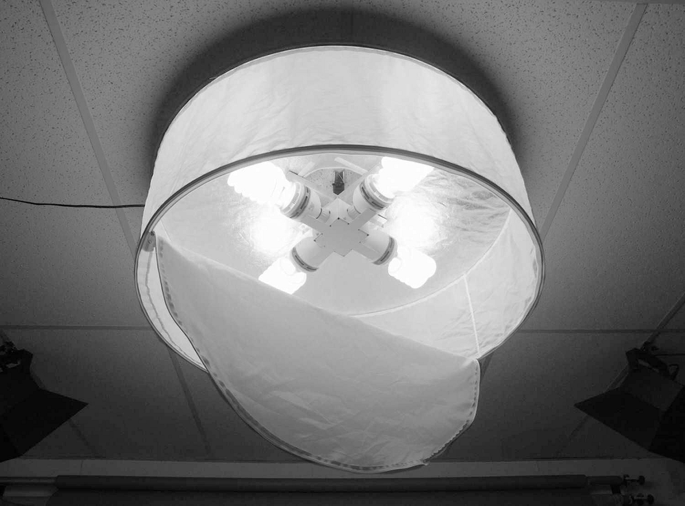 ALZO Drum Overhead Space Light (Without Bulbs)