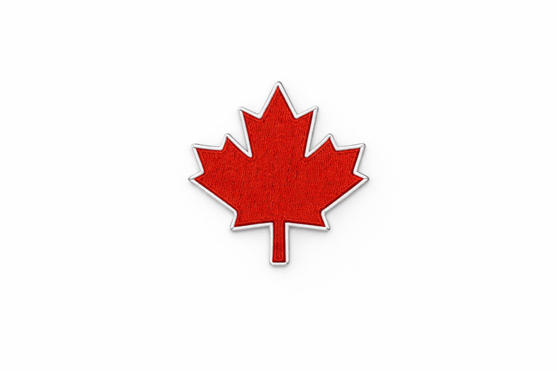 Patch Embroidered Iron-On Or Sew Canada Red Maple Leaf Flag