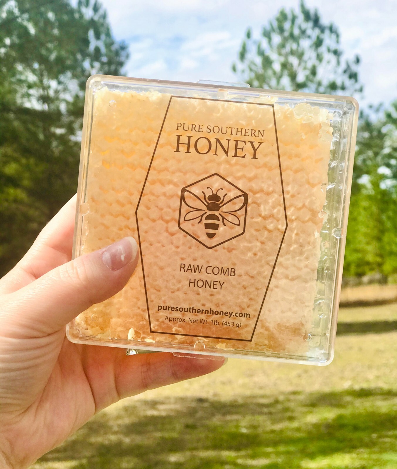 Raw Honeycomb 4"x4" by Pure Southern Honey, New 2023 Crop